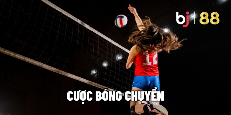 Cược Bóng Chuyền Hấp Dẫn - Phân Tích Kèo Chuẩn Xác