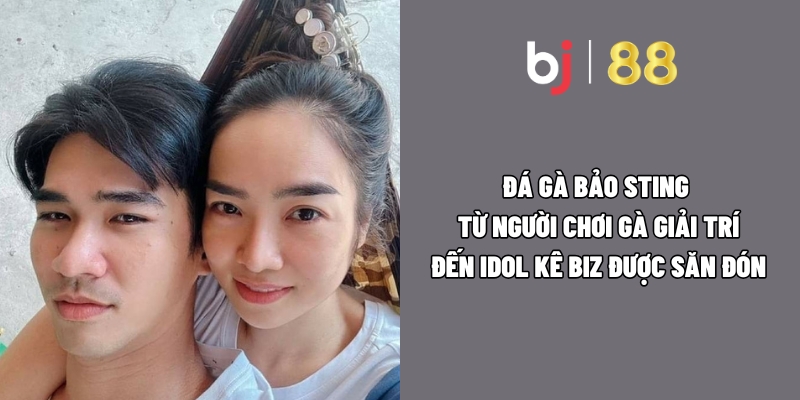 Đá gà Bảo Sting – Từ người chơi gà giải trí đến Idol Kê Biz được săn đón