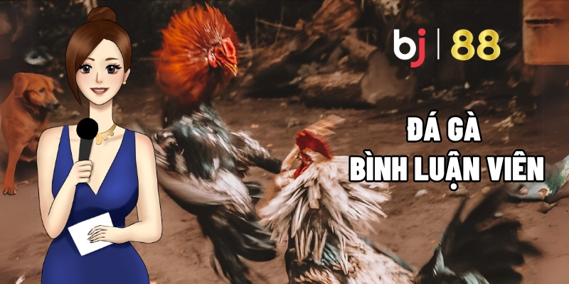 Đá Gà Bình Luận Viên – Trải Nghiệm Mới Trong Chọi Gà