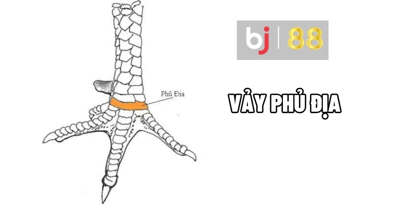 Vảy Phủ Địa - Sát Thủ Trường Đấu Khiến Đối Thủ Khiếp Sợ